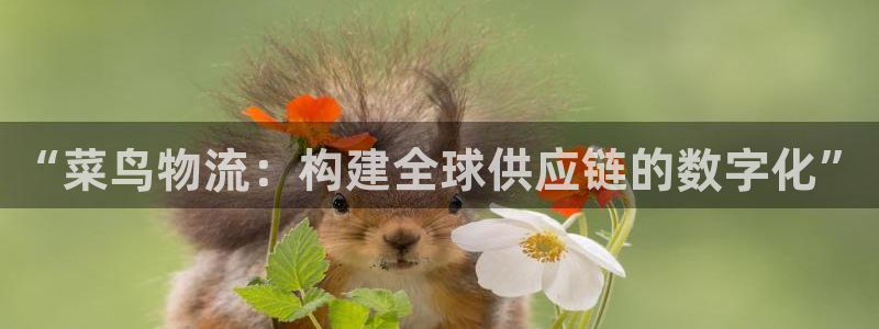 usdt ommi：“菜鸟物流：构建