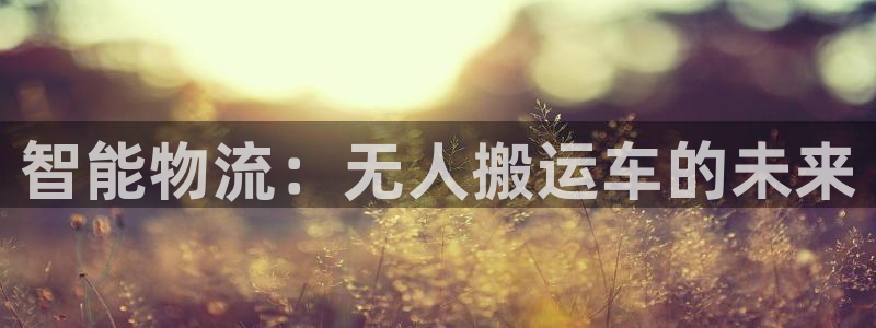 usdt安全吗会被偷吗：智能物流：无