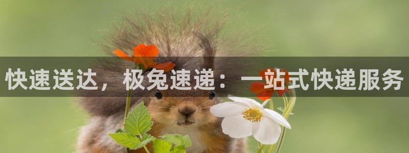 usdt提币冻结：快速送达，极兔速递