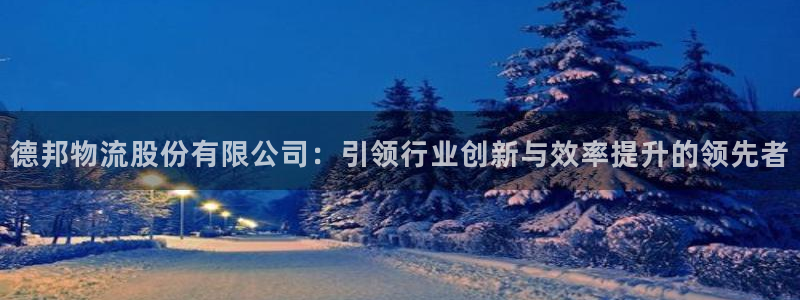 usdt官网钱包：德邦物流股份有限公