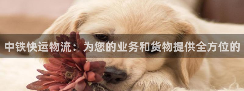 usdt提现到银行卡要交税吗：中铁快