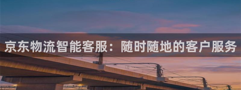 USDT的钱包什么意思：京东物流智能