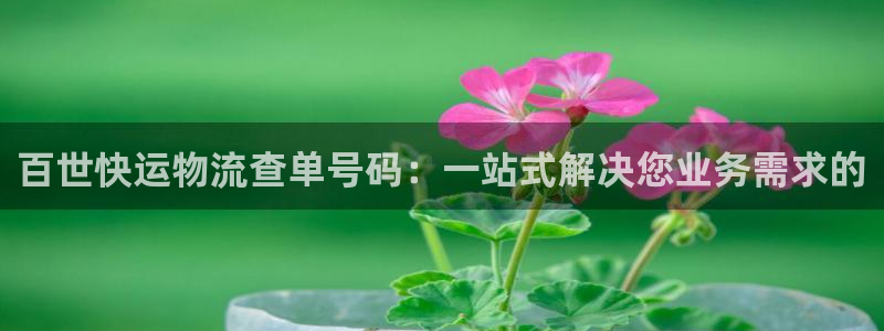 USDT的钱包什么意思