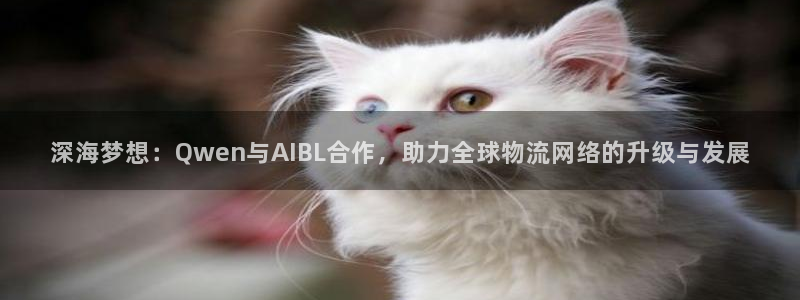 usdt如何转到钱包：深海梦想：Qw