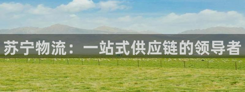 usdt交易不了：苏宁物流：一站式供