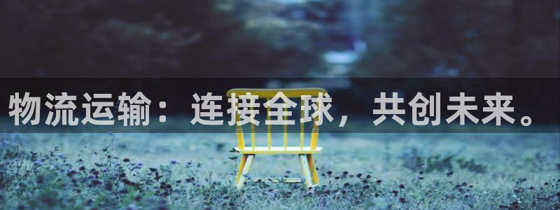 USDT官方注册网站：物流运输：连接