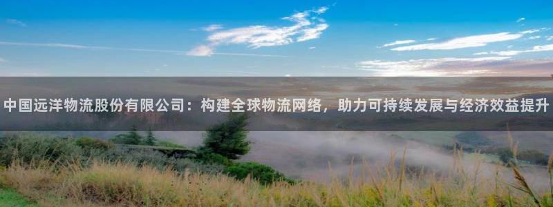 usdt好出售吗：中国远洋物流股份有