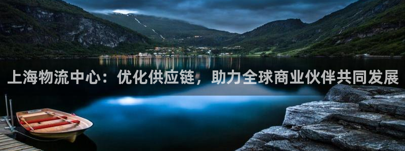 usdt usdk：上海物流中心：优