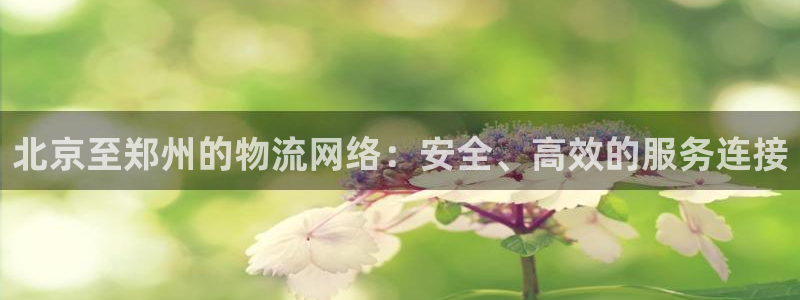 usdt地址怎么填写：北京至郑州的物