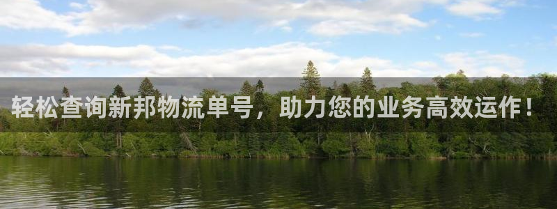 usdt冻结怎么处理：轻松查询新邦物