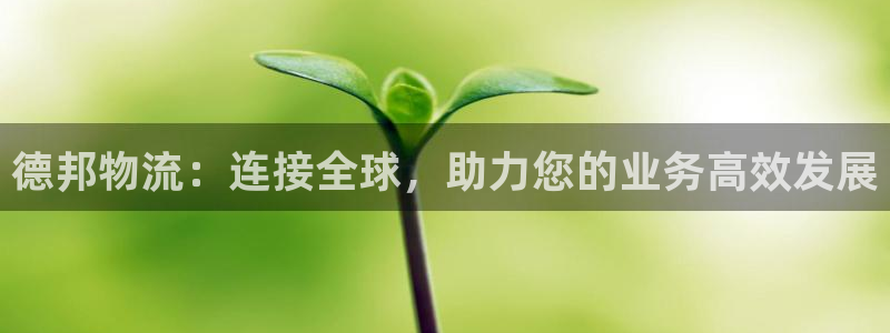 usdt提到什么钱包：德邦物流：连接