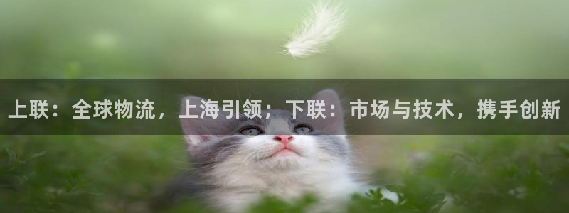 usdt确认要多久：上联：全球物流，