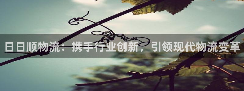usdt钱包提现会被收缴吗：日日顺物