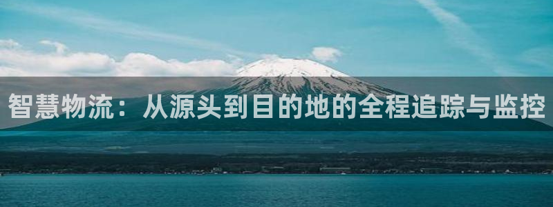 usdt钱包下载：智慧物流：从源头到