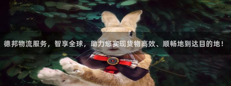 usdt注册完怎么充值：德邦物流服务