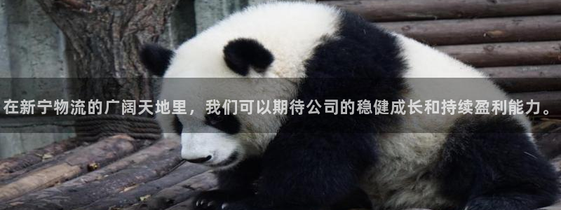 如何创建usdt钱包地址：在新宁物流