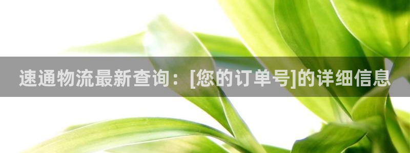 USDT钱包TF字母开头是什么：速通