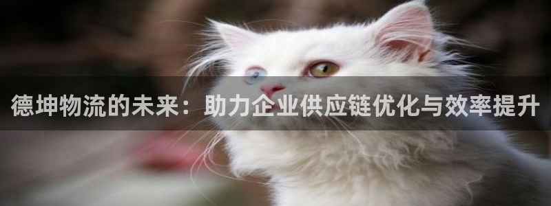 usdt钱包图：德坤物流的未来：助力