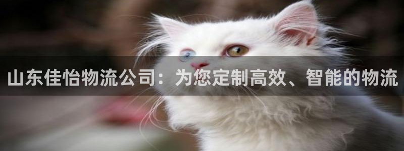usdt汇率人民币：山东佳怡物流公司：为您定制高效、智能的物
