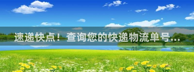 usdt转账记录可不可以立案：速递快