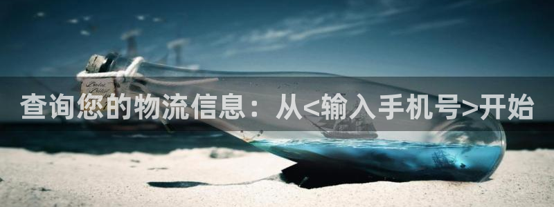 usdt汇款：查询您的物流信息：从<