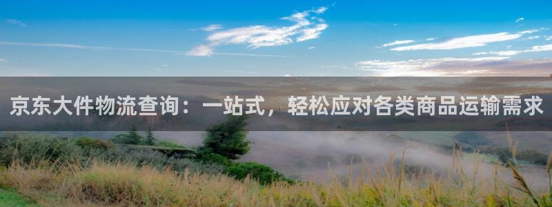 usdt中文名：京东大件物流查询：一