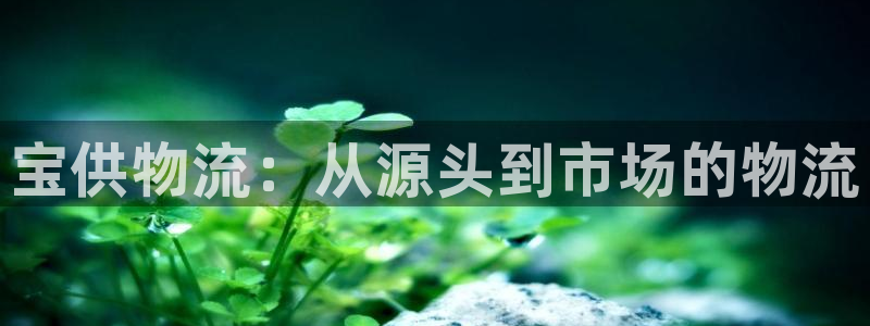 usdt被风控了怎么办：宝供物流：从
