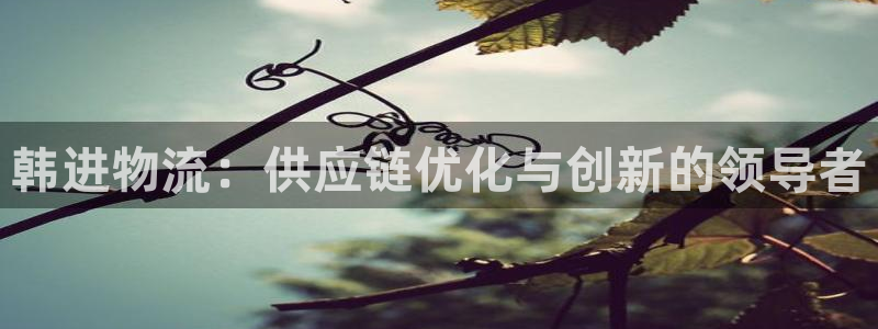 USDT注册入口：韩进物流：供应链优