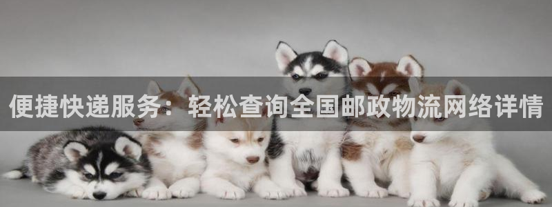 gateio usdt提现到支付宝：