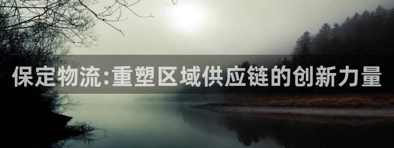 usdt怎么提出来：保定物流:重塑区