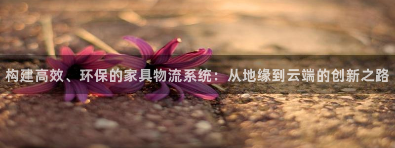 usdt网址：构建高效、环保的家具物