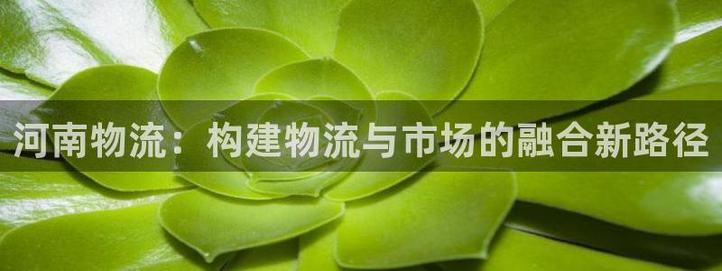 usdt怎么查询转入地址：河南物流：