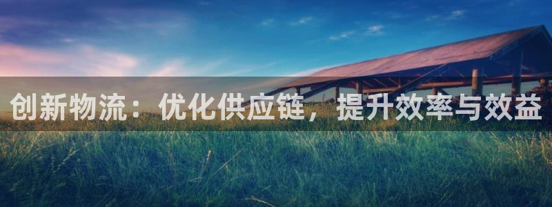 usdt链名称：创新物流：优化供应链