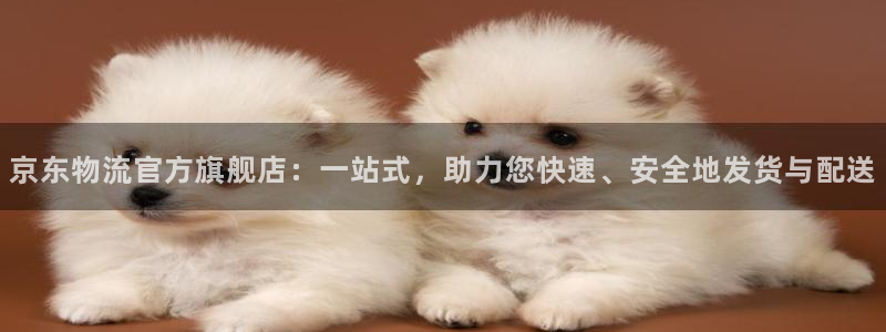 usdtwallet官网：京东物流官