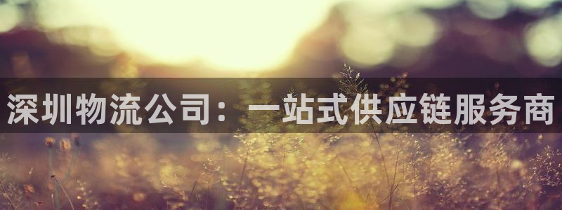 卖usdt安全吗：深圳物流公司：一站式供应链服务商