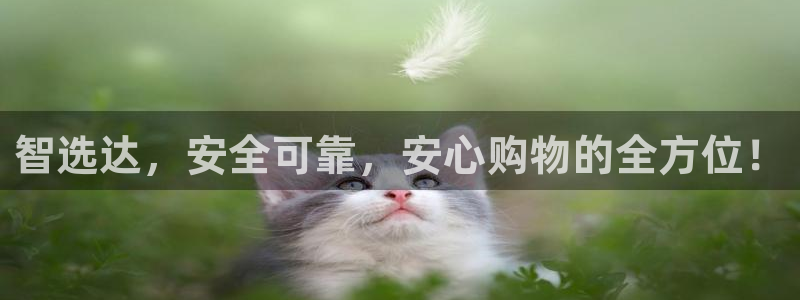 usdt交易app官网：智选达，安全