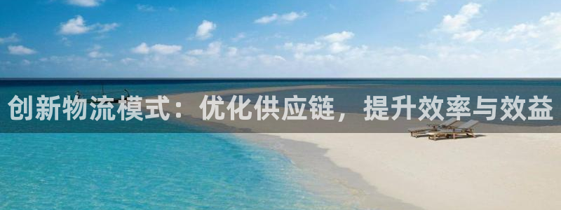 usdt下载平台：创新物流模式：优化